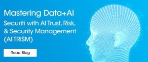 Safety and Security: Managing Data in AI Relationships